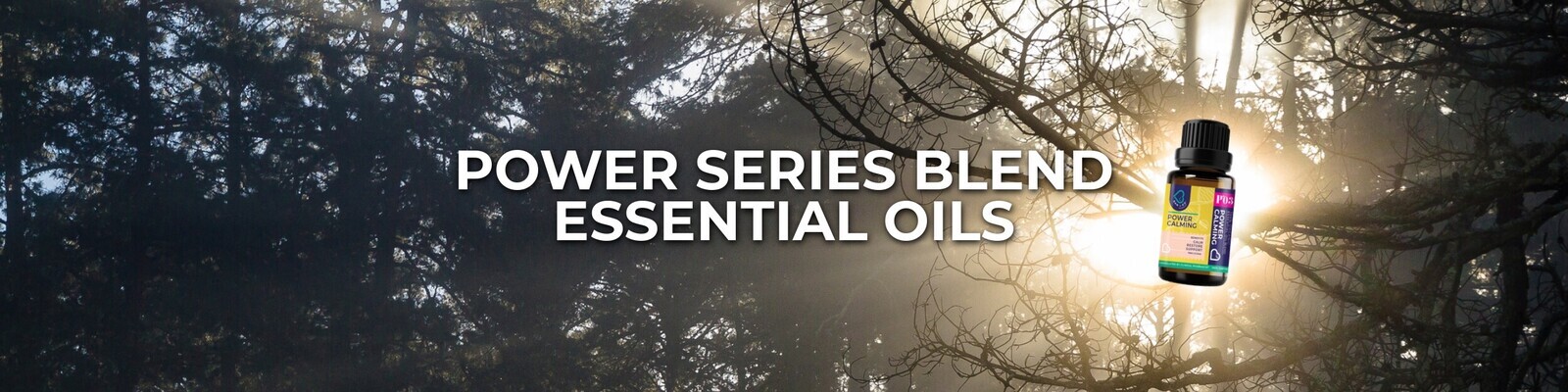 Power Series