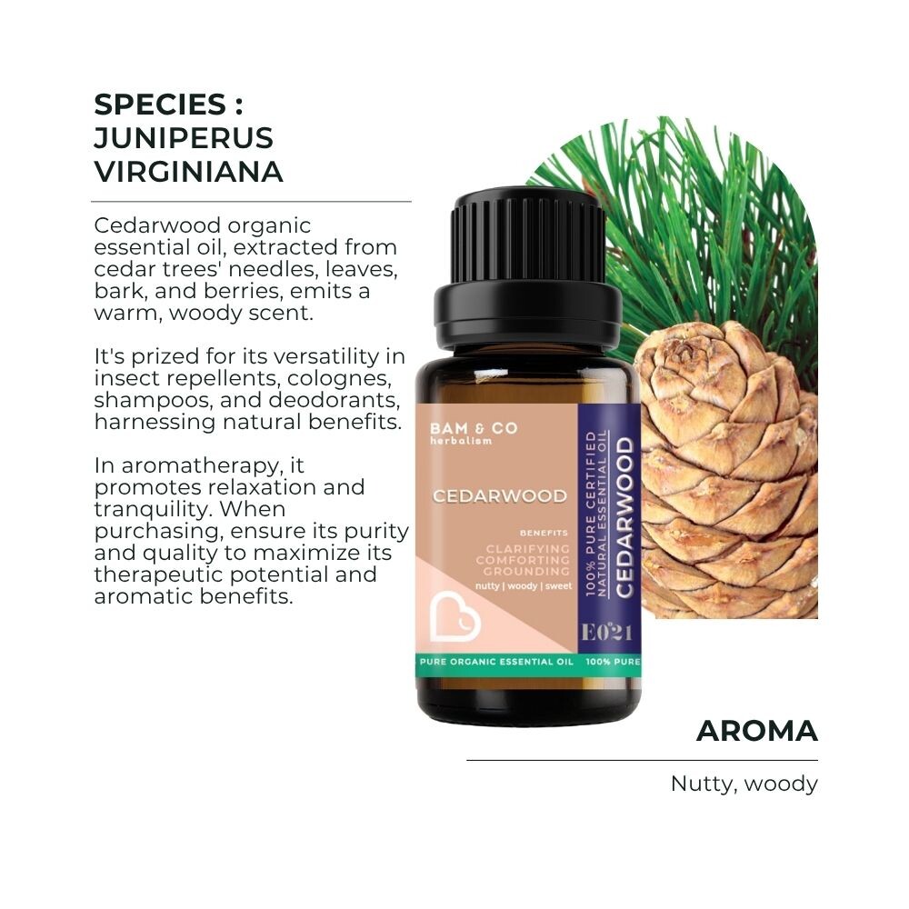 BAM & CO Cedarwood Organic Essential Oil 5ml / 10ml