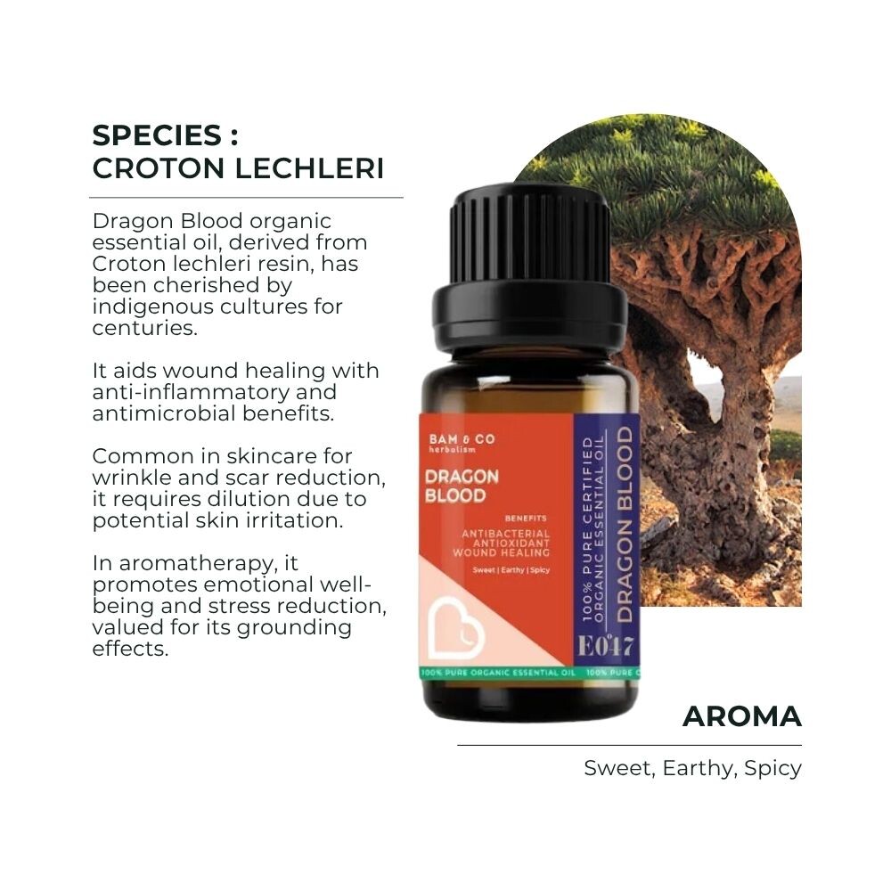 BAM & CO Dragon Blood Organic Essential Oil 5ml / 10ml