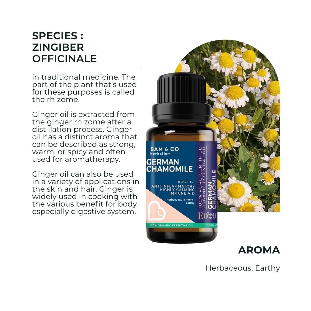 BAM & CO German Chamomile Organic Essential Oil 5ml / 10ml