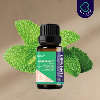 BAM & CO Peppermint Organic Essential Oil 5ml / 10ml