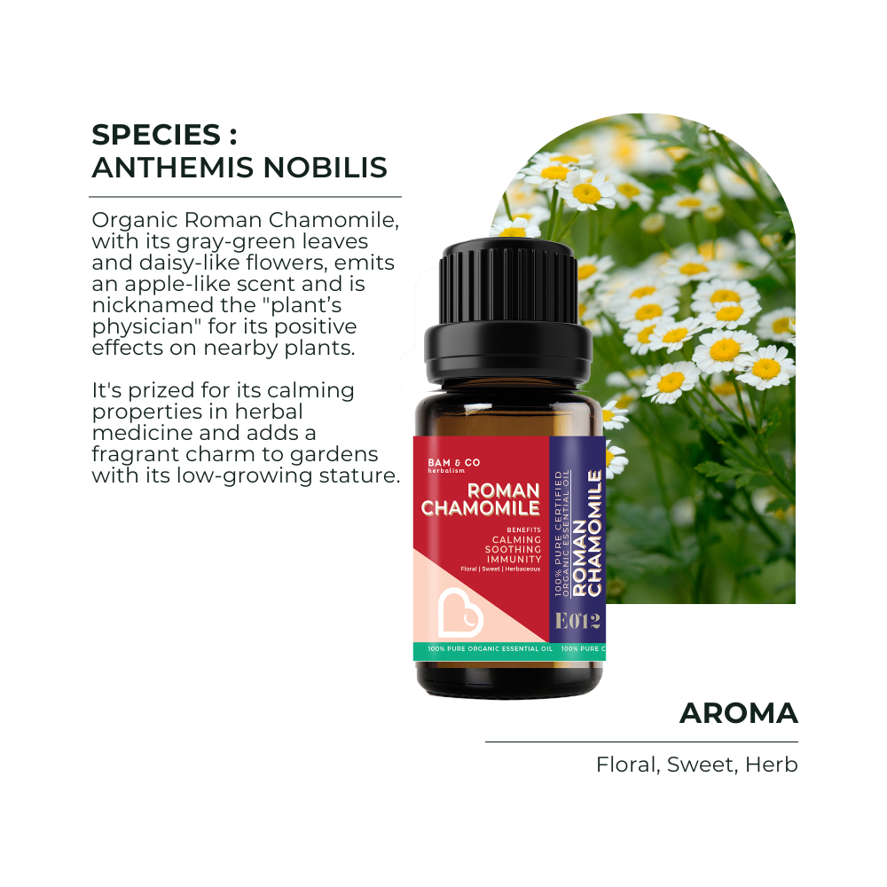 BAM & CO Roman Chamomile Organic Essential Oil 5ml / 10ml